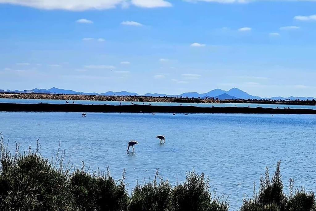 Agreable Appartement Avec Piscine Commune San Pedro del Pinatar Exteriör bild